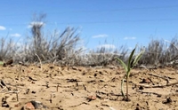 Україну чекає посуха, а частину Європи – повені: опублікований масштабний прогноз погоди на літо (ФОТО)