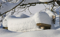 Україну засипало снігом: Де покрив становить понад пів метра