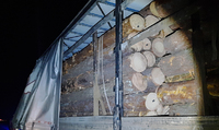 На Житомирщині зупинили мешканця Рівненщини з повною вантажівкою краденого лісу