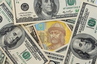 До 25 гривень за долар: в Україні різко зміниться курс валюти

