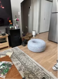 Лише геній знайде рудого кота на фото