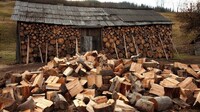 Щоб отримати безплатні дрова, потрібно написати спеціальну заяву