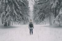 На Житомирщині замерзла у лісі висаджена з маршрутки студентка. Чи можливе таке на Рівненщині?