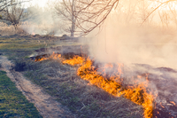 Вогонь – не іграшка: Пожежі в екосистемах на Рівненщині завдали збитків на понад 17 млн грн  