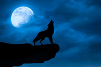 Вовчий місяць зійшов над Землею. Фантастичні світлини видовищного явища (ФОТО)