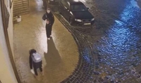 «Впала 40 разів»: героїня відео з Андріївського узвозу розповіла, як боролася з ожеледицею (ФОТО/ВІДЕО) 