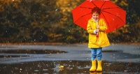 Дощі повертаються: синоптики озвучили прогноз погоди на Рівненщині