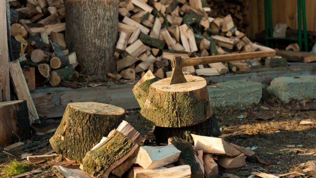 Дуб, береза чи верба: які дрова не варто купувати для опалення (ТАБЛИЦЯ)