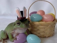 В конкурсі великодніх кроликів від відомої кондитерської фабрики перемогла… жаба