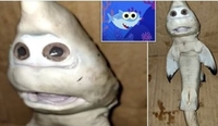 Акула-мутант з «людським обличчям» налякала рибалку в Індонезії і стала сенсацією (ФОТО/ВІДЕО)