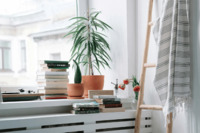 5 предметів на підвіконні, які притягують у дім нещастя: народні прикмети