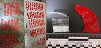 Готель Вараша: 640 закладок із наркотиками вилучила поліція на Рівненщині (ФОТО)
