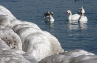 Морози відступають: Україну накриє хвиля тепла