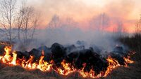 Мешканців Рівненщини попередили про надзвичайну загрозу пожеж