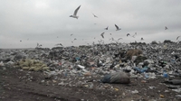 Як виглядає Рівненське сміттєзвалище з висоти пташиного польоту (ФОТО)