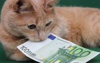 Зарплата мрії: кому готові платити по €2000 на місяць і навіть більше?