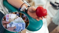 Надбавка за донорство: кому в Україні зобов’язані доплачувати за це до пенсії
