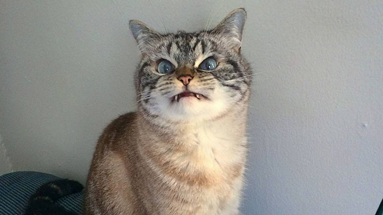 Фото ілюстративне, з відкритих джерел