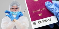 Відразу 7 країн ЄС у травні почнуть випробування COVID-паспортів