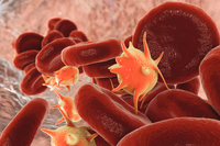 5 доступних продуктів які розбивають холестеринові бляшки 