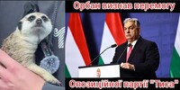 Мадяр – переміг! Орбан – друг Трампа та Путіна вже визнав свою поразку, але… (ФОТО)