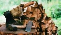 Збирати дрова у лісі не можна, за це штрафують. Але є винятки