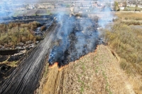 На Сарненщині рятувальники за два дні загасили 12 пожеж в екосистемах (ФОТО)