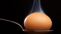 Знайшли куряче яйце біля будинку: Що робити з підкладом?