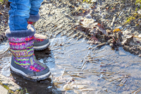 Стало відомо, коли в Україну прийде осіннє похолодання