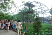 Рівненський зоопарк облюбували кияни