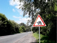 На українських дорогах нові дорожні знаки. Із черепахою (ФОТО)