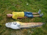 Гіганта спіймав рибалка у річці на Рівненщині. Сом — ростом з підлітка (ФОТОФАКТ)