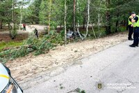 Викрав BMW, не впорався з керуванням та злетів у канаву: на Рівненщині розшукали неповнолітнього викрадача