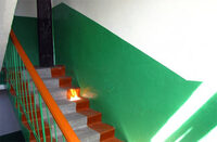 Чому раніше у під'їздах фарбували стіни лише в зелений та синій кольори