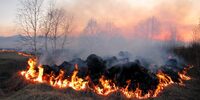 На Рівненщині – надзвичайний рівень пожежної небезпеки