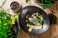 То любов: переможець Євробачення божеволіє від українських смаколиків