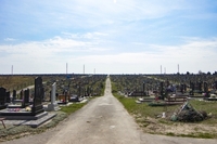 Чому на кладовищі «Нове» так складно знайти могилу рідних (ФОТО/ВІДЕО)