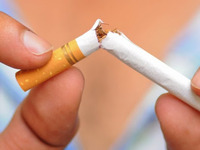 Понад 7 тисяч пачок цигарок знищать на Рівненщині