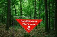 В час війни ліс став оборонною «спорудою»: Кому на Рівненщині заборонили збирати ягоди та гриби