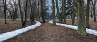 Снігова аномалія у парку ім. Шевченка знайшла своє пояснення (6 фото)