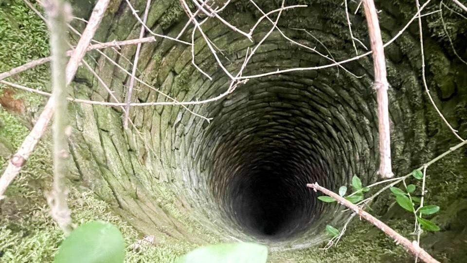 Фото поліції