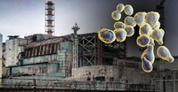 Грибок із Чорнобиля може допомогти людству колонізувати Марс (ФОТО)