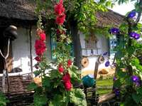 Посадіть ці три квітки на клумбі — і зло не зайде у дім: народні прикмети