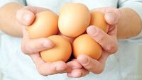 Чи можна позичати сусідам курячі яйця: народні прикмети