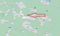 Без церкви і магазину, фактично серед лісу: як живуть люди у селі за 30 км від Луцька (ВІДЕО)