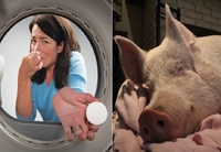 Затхлий запах у пральній машині: як його позбутися