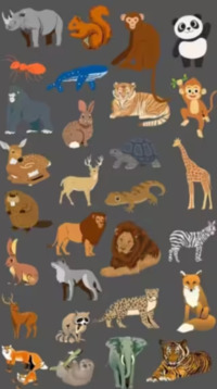 Загадка для найгеніальніших: Знайдіть зайву тварину