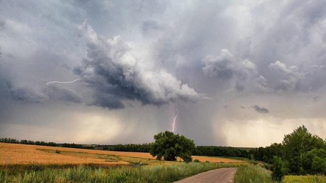 Фото ілюстративне, з відкритих джерел