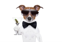 Уночі 1 січня у Рівному з’явився ТІЦ (6 ФОТО)