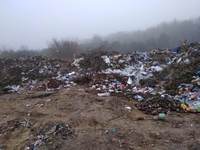 Купи сміття помітили біля відпочинкової зони Хрінницького водосховища на Рівненщині (ФОТО)